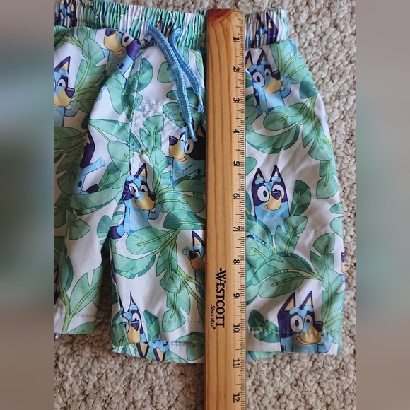 Bluey toddler boy Green swim Shorts SIZE 2T - Picture 8 of 9